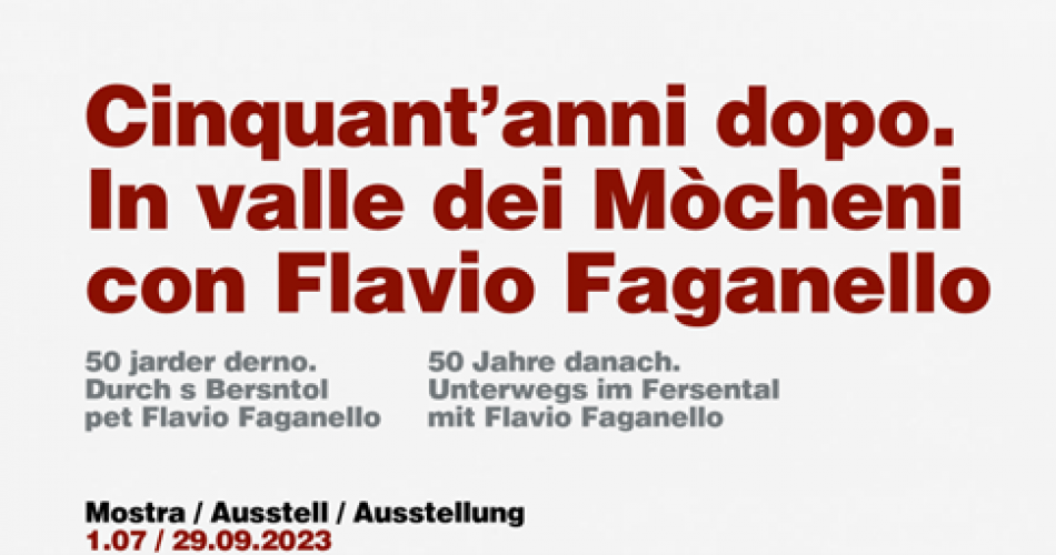 Flavio Faganelli